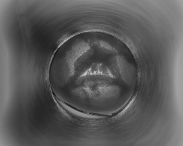 X0000087711521200705111412