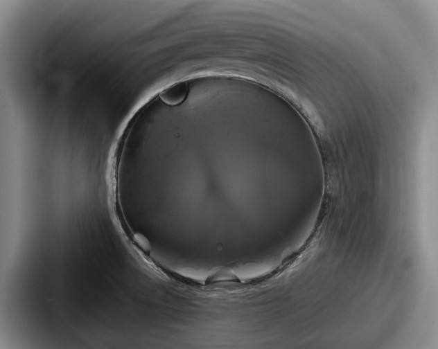 X0000087711522200705111412