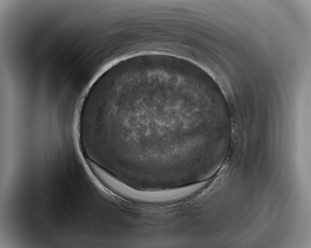 X0000087711523200705111412