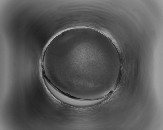 X0000087711524200705111412
