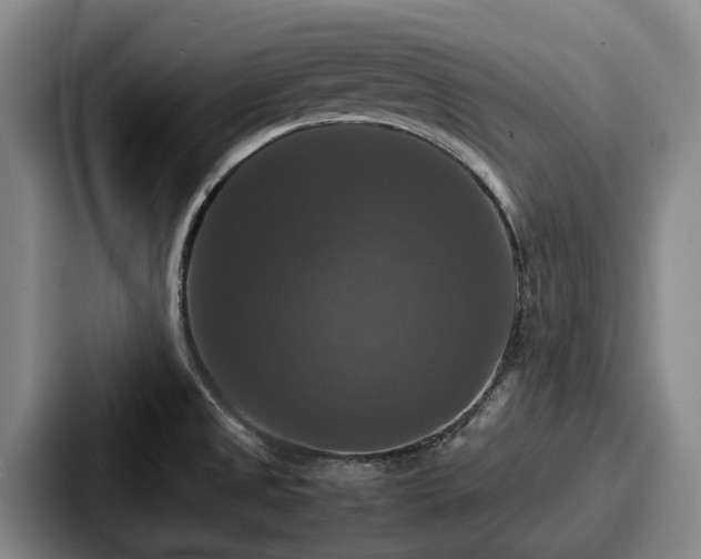 X0000087711525200705111412