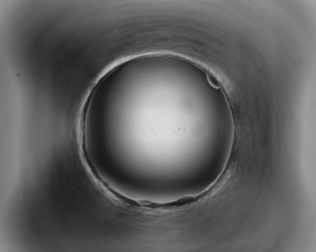 X0000087711526200705111412