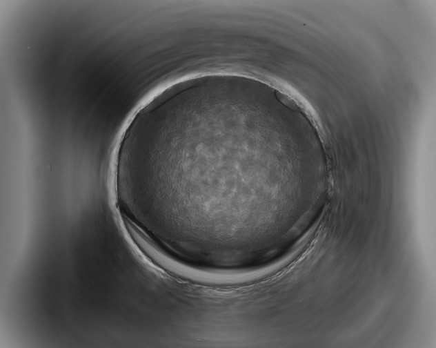 X0000087711528200705111412