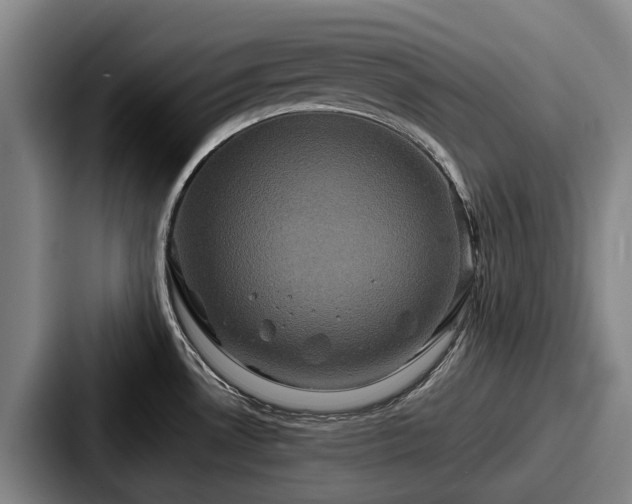 X0000087711530200705111412