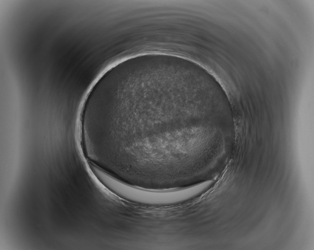 X0000087711531200705111412