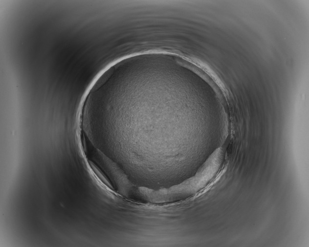 X0000087711532200705111412