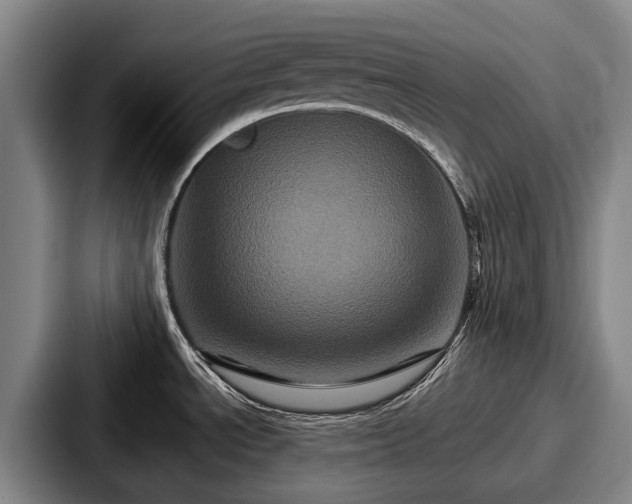 X0000087711534200705111412