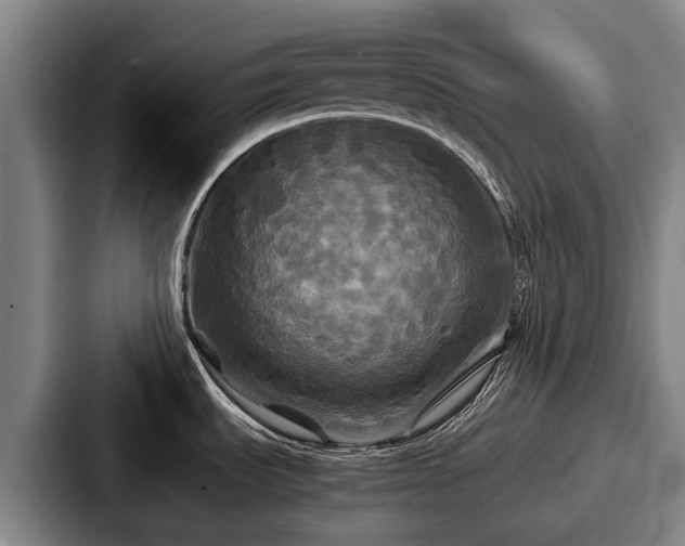 X0000087711535200705111412