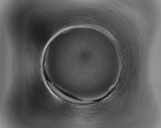 X0000087711536200705111412