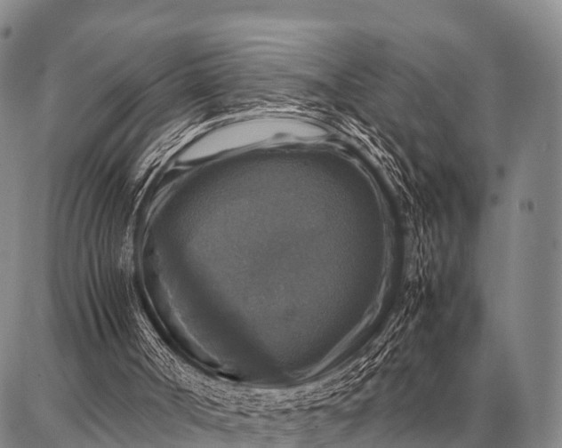 X0000087710002200705181856