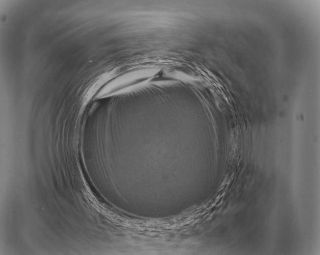 X0000087710003200705181856