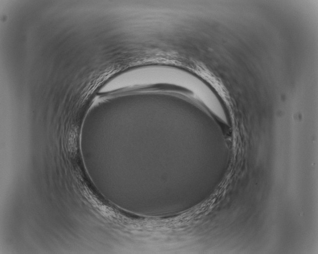 X0000087710009200705181856
