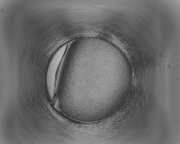 X0000087710013200705181856