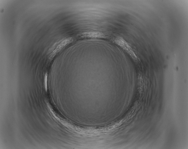 X0000087710014200705181856