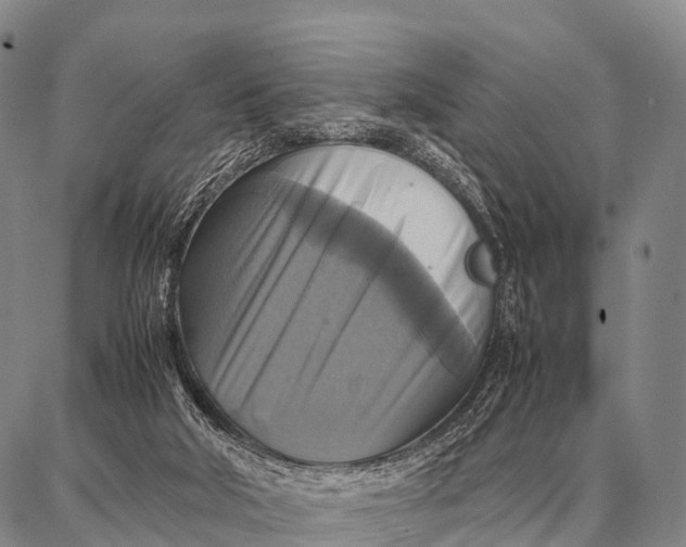 X0000087710018200705181856