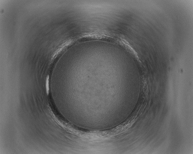 X0000087710020200705181856