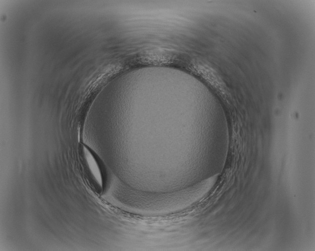 X0000087710021200705181856