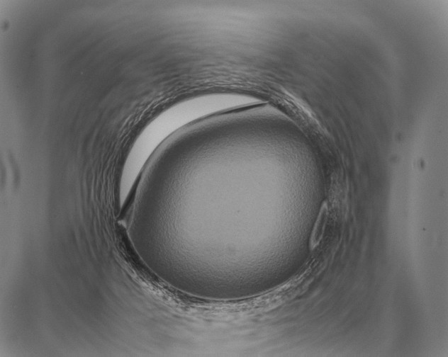 X0000087710025200705181856