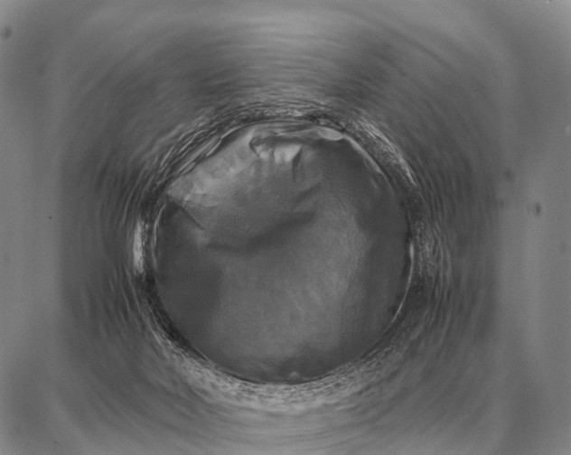 X0000087710026200705181856