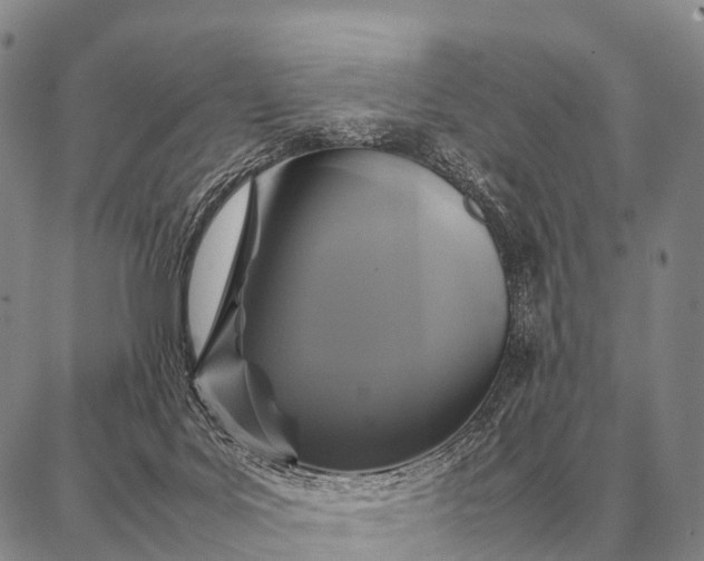 X0000087710027200705181856