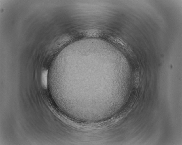 X0000087710028200705181856