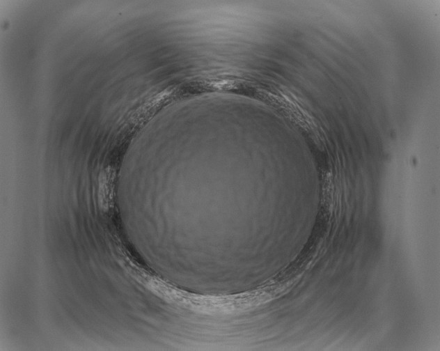 X0000087710030200705181856