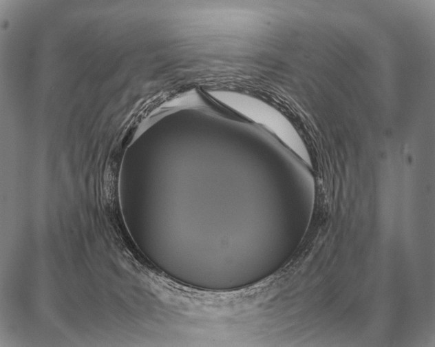 X0000087710035200705181856