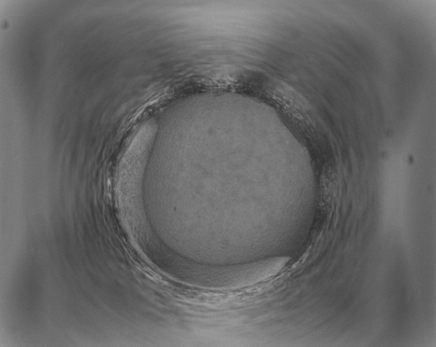 X0000087710037200705181856