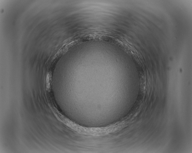 X0000087710038200705181856