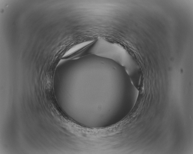 X0000087710039200705181856