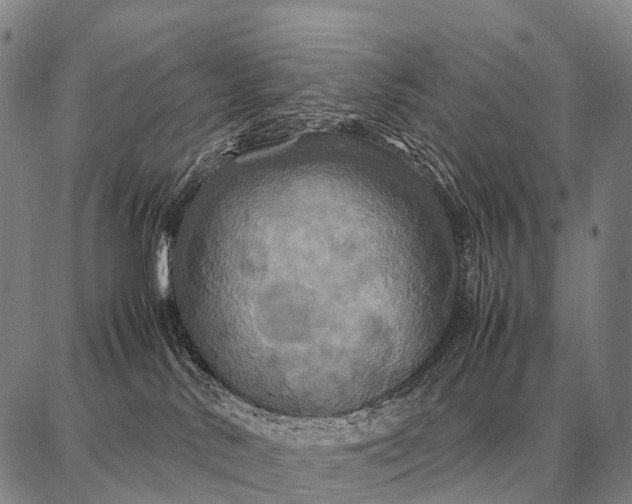 X0000087710042200705181855