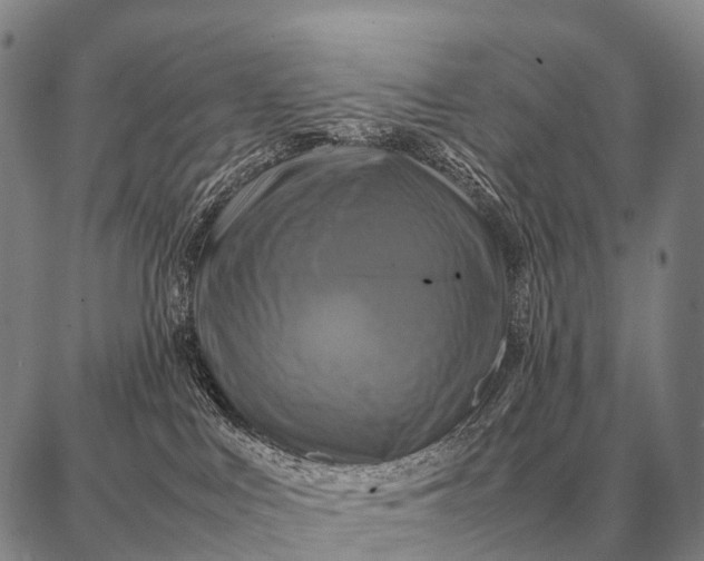 X0000087710043200705181855