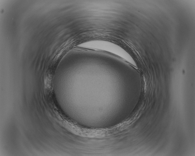 X0000087710044200705181855