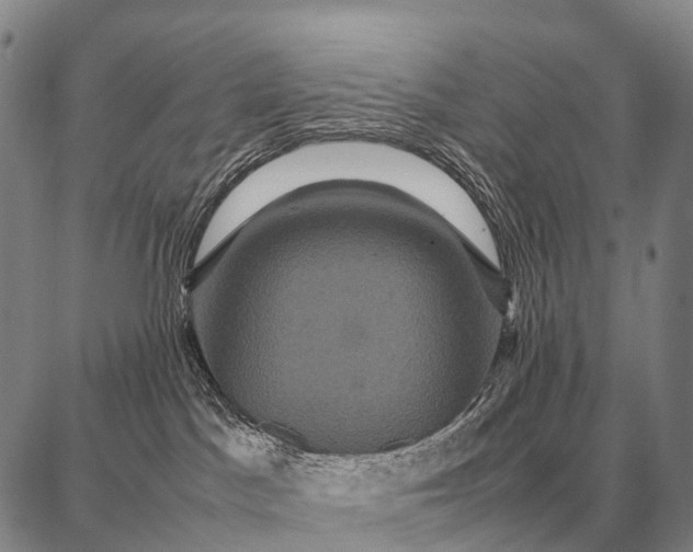 X0000087710045200705181855