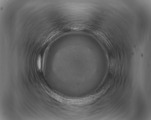 X0000087710046200705181855