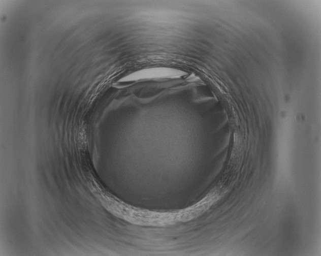 X0000087710048200705181855