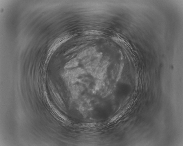 X0000087710049200705181855
