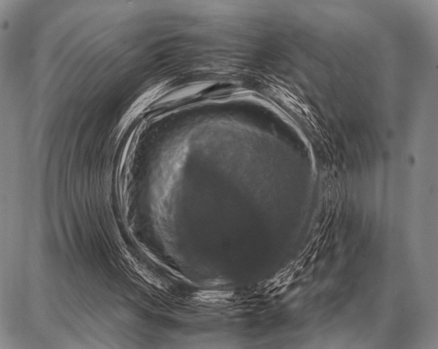 X0000087710051200705181855