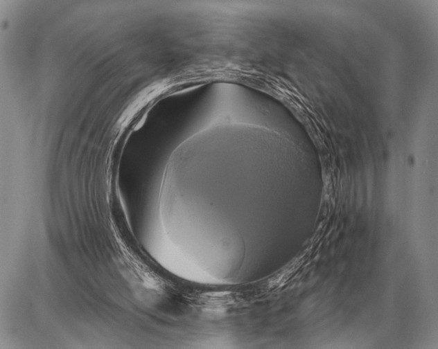X0000087710054200705181855