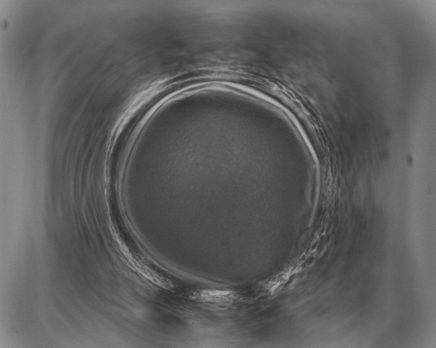X0000087710055200705181855