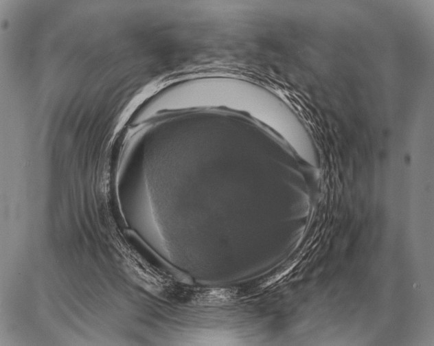 X0000087710056200705181855