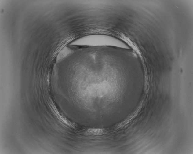 X0000087710057200705181855