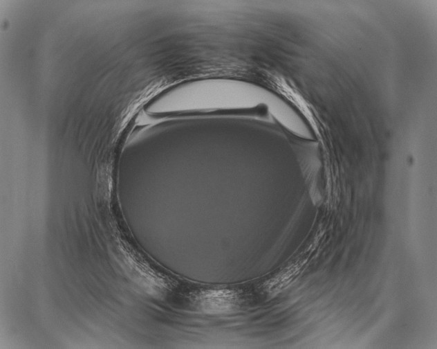 X0000087710059200705181855