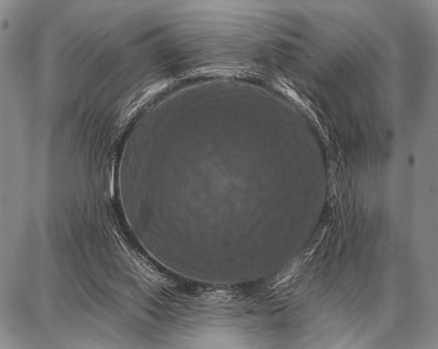 X0000087710062200705181855