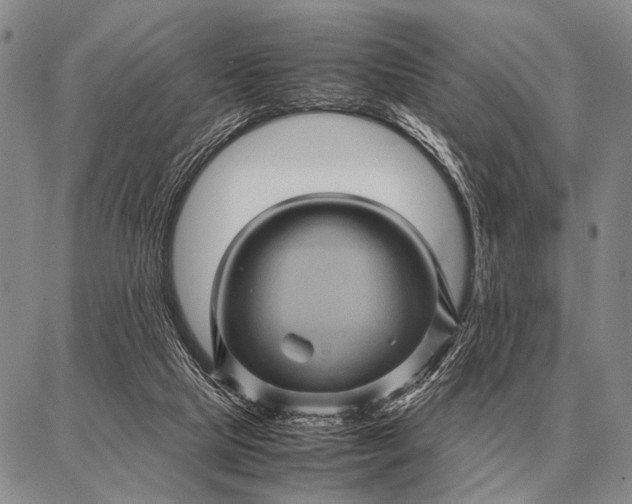 X0000087710065200705181855