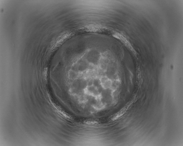 X0000087710066200705181855
