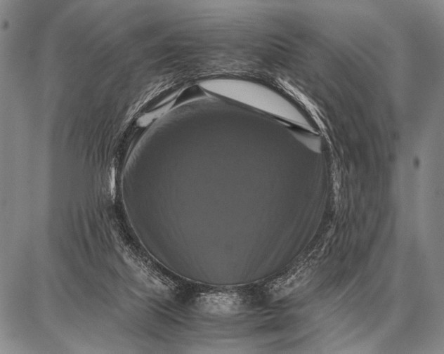 X0000087710067200705181855
