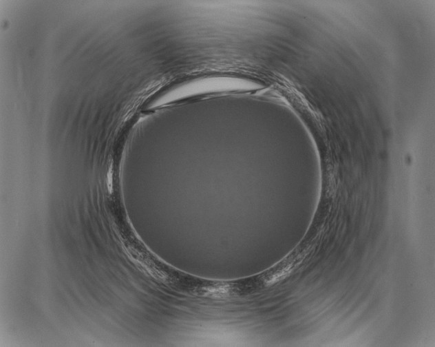 X0000087710068200705181855