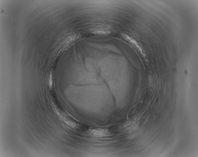 X0000087710069200705181855