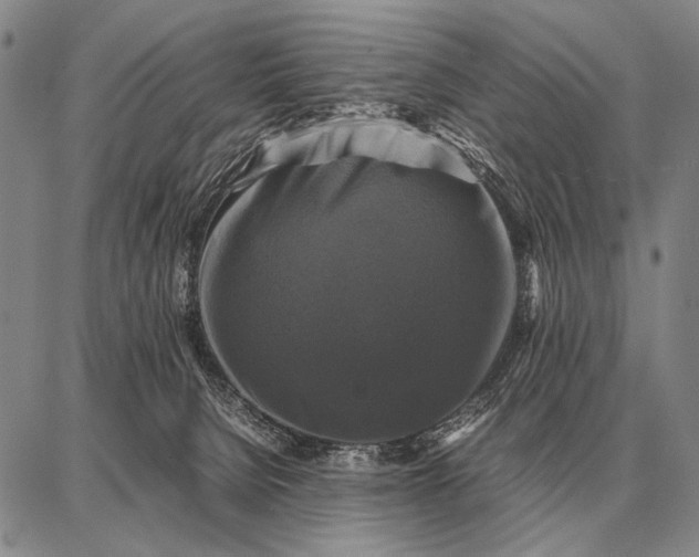 X0000087710080200705181855